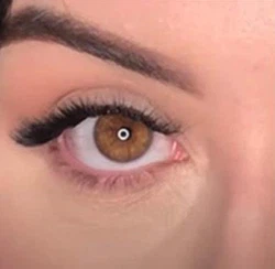 aea3df0f2ad41718b3a60b7eebf5d71 aea3df0f2ad41718b3a60b7eebf5d71