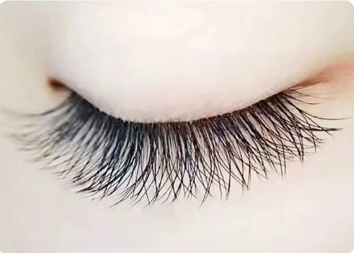 Clover Lash