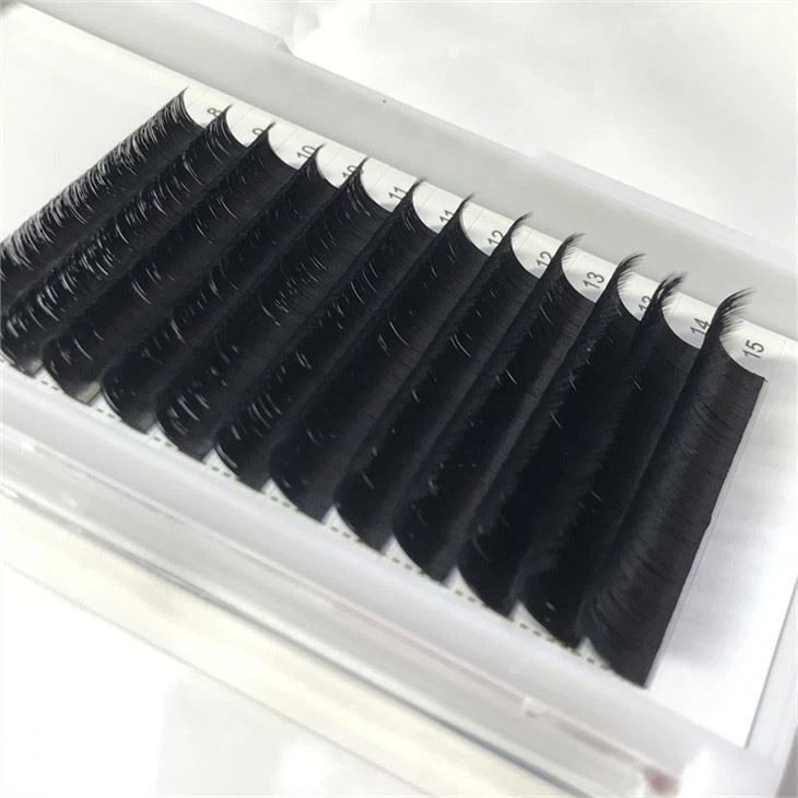 Rapid Fan Eyelash Extensions